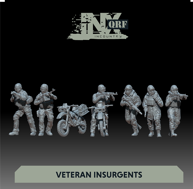 Insurgent Veterans and Biker